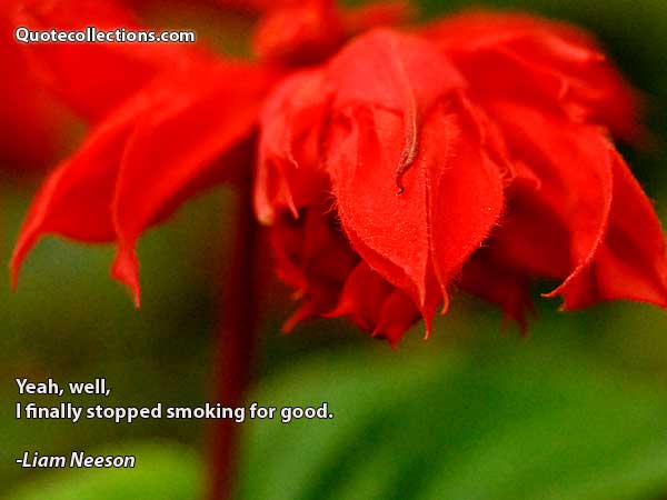Liam Neeson Quotes2